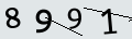 verifycode